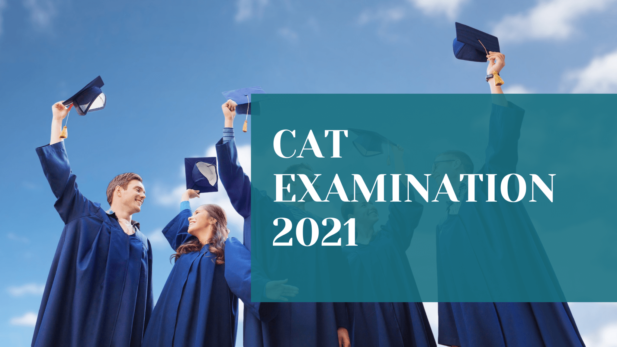 Экзаменационные 2021. Cat Exam.